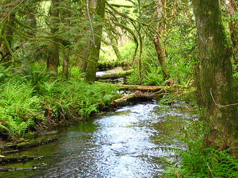 Barlow Wayside park